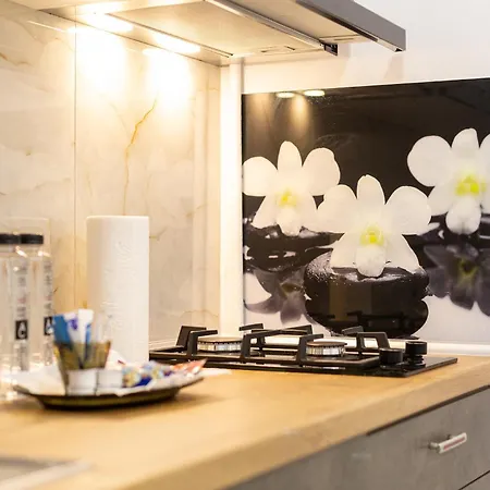 Modern - Near Aquapark Amazonia And Hospitals Babes And Cardiology 公寓 蒂米什瓦拉