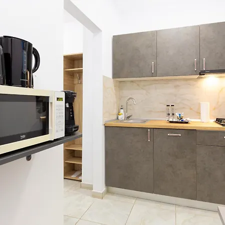 Modern - Near Aquapark Amazonia And Hospitals Babes And Cardiology Daire Temeşvar