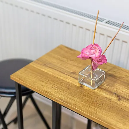 Διαμέρισμα Modern - Near Aquapark Amazonia And Hospitals Babes And Cardiology Τιμισοάρα