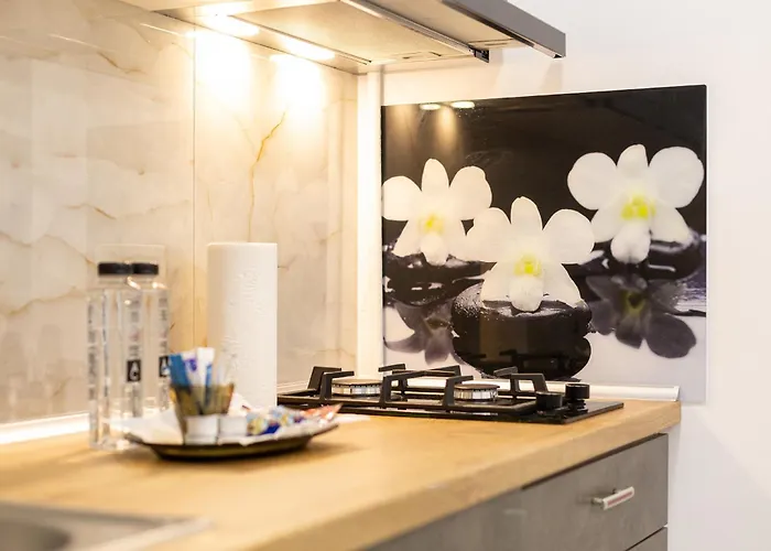 Modern - Near Aquapark Amazonia And Hospitals Babes And Cardiology Apartment Timisoara