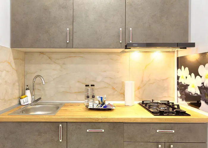 Modern - Near Aquapark Amazonia And Hospitals Babes And Cardiology * 蒂米什瓦拉