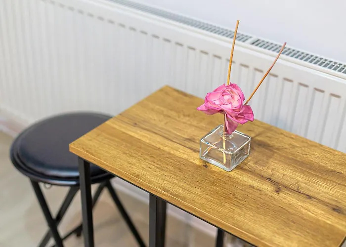 Apartment Modern - Near Aquapark Amazonia And Hospitals Babes And Cardiology Timisoara