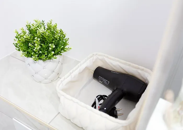 Modern - Near Aquapark Amazonia And Hospitals Babes And Cardiology Timisoara